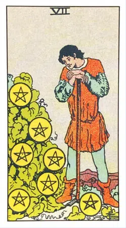 Seven of Pentacles - Rider Waite Smith Tarot