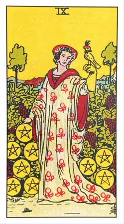 Nine of Pentacles - Rider Waite Smith Tarot