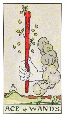Ace of Wands - Rider Waite Smith Tarot
