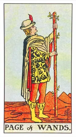 Page of Wands - Rider Waite Smith Tarot